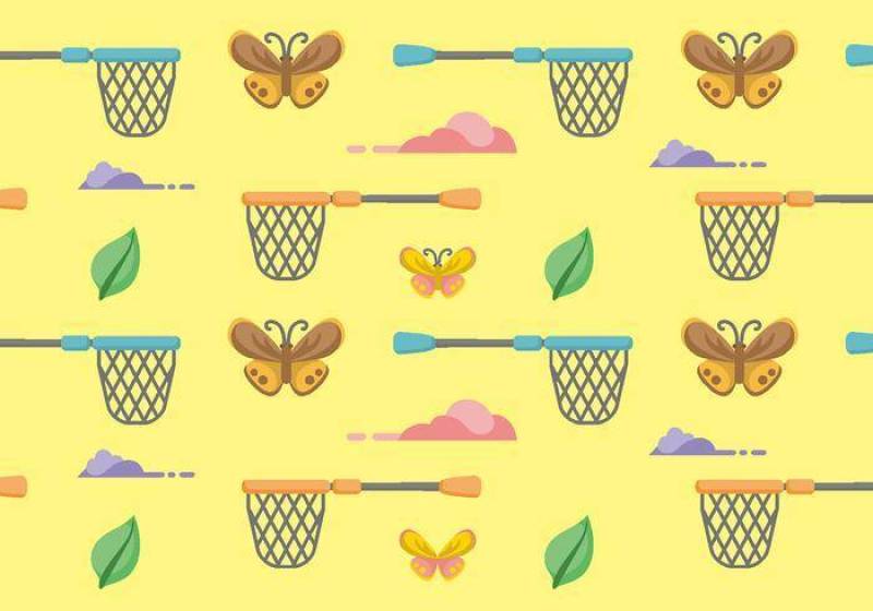 蝴蝶网模式矢量