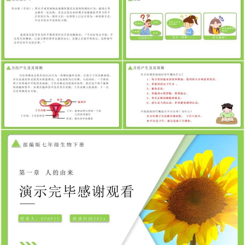 部编版七年级生物下册青春期课件PPT模板