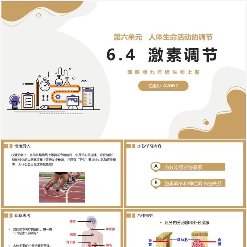 部编版九年级上册激素调节课件PPT模板