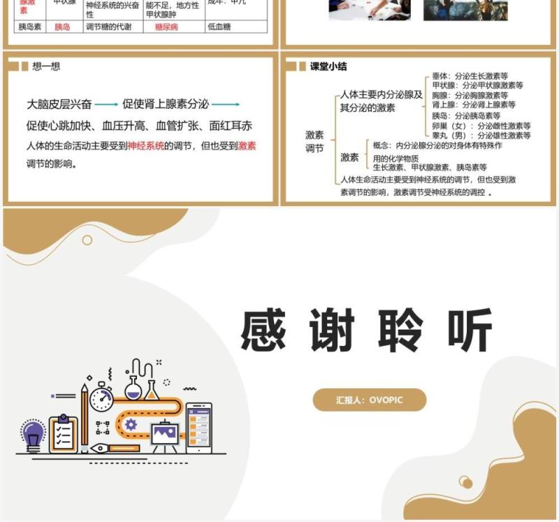 部编版九年级上册激素调节课件PPT模板