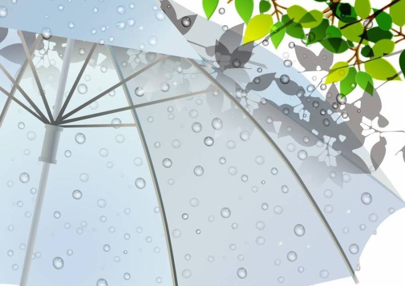 雨风景图03新鲜的绿色和乙烯基伞
