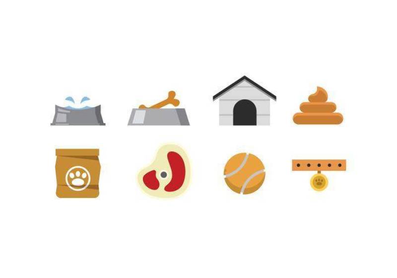 狗为主题的载体