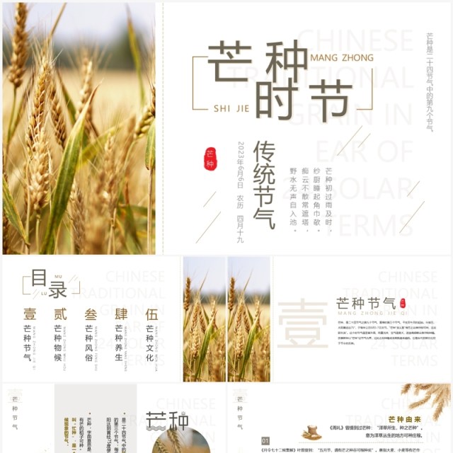 清新简约中国风传统节气之芒种PPT模板 清新简约中国风传统节气之芒种PPT模板
