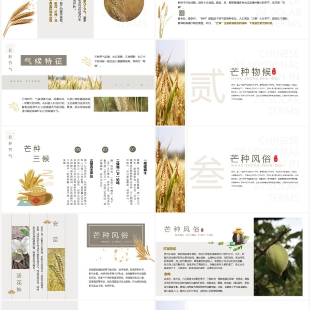 清新简约中国风传统节气之芒种PPT模板 清新简约中国风传统节气之芒种PPT模板