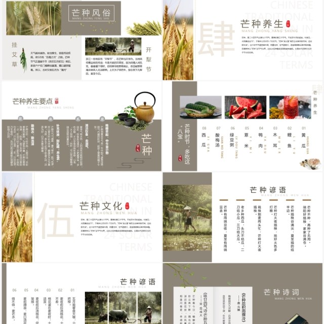 清新简约中国风传统节气之芒种PPT模板 清新简约中国风传统节气之芒种PPT模板