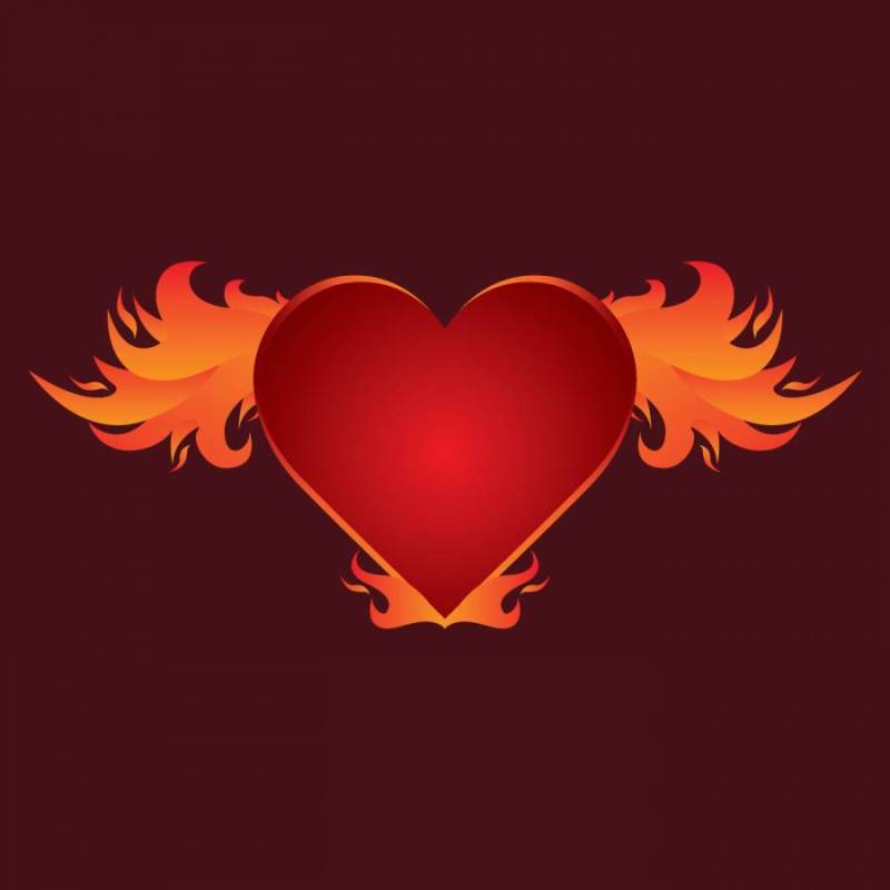 美丽的火焰状的心翅膀矢量