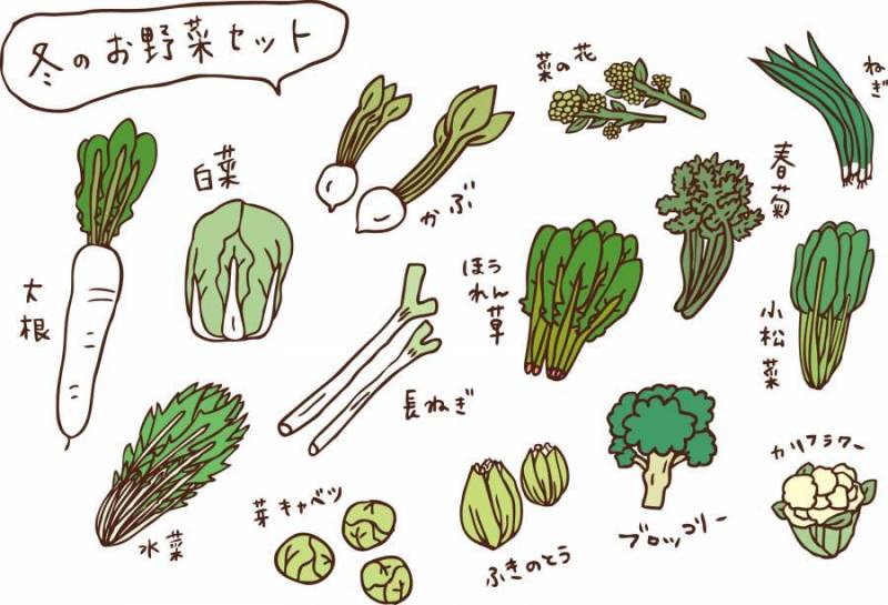 冬季蔬菜集的颜色