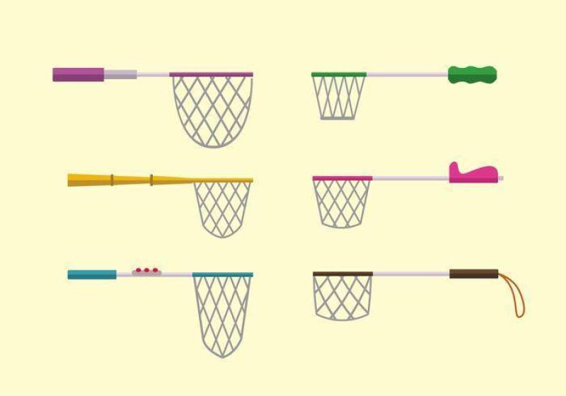 多彩蝴蝶网集合