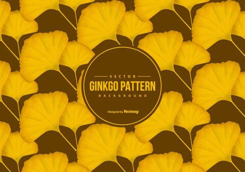 美丽的银杏图案背景