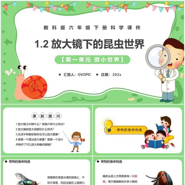 教科版六年级科学下册放大镜下的昆虫世界课件PPT模板 教科版六年级科学下册放大镜下的昆虫世界课件PPT模板