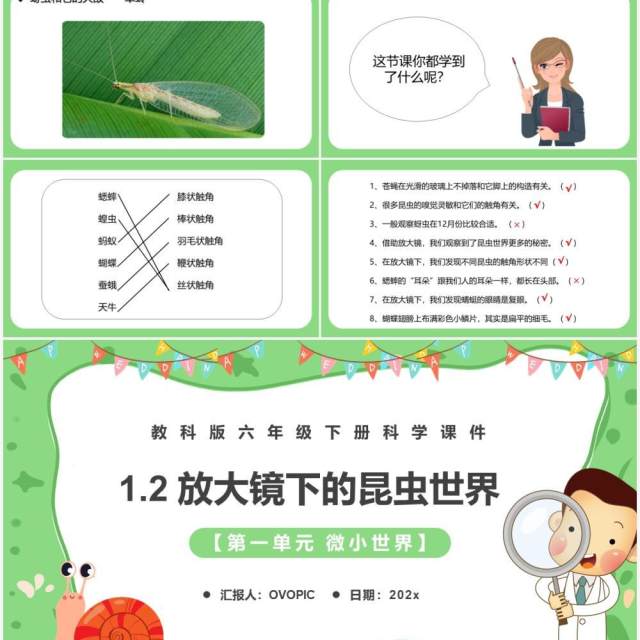 教科版六年级科学下册放大镜下的昆虫世界课件PPT模板