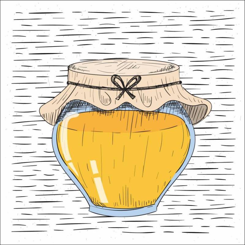  手绘矢量蜂蜜罐子插图