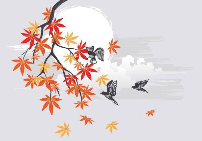 与鸟和美丽的风景背景的秋天日本枫树