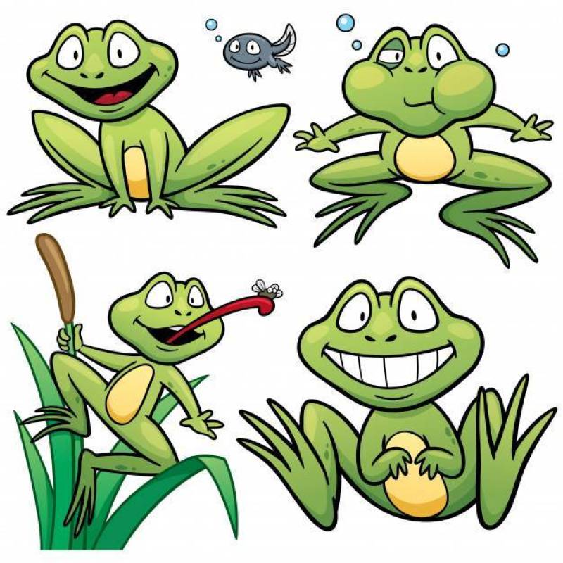 Cartoon Frog Character