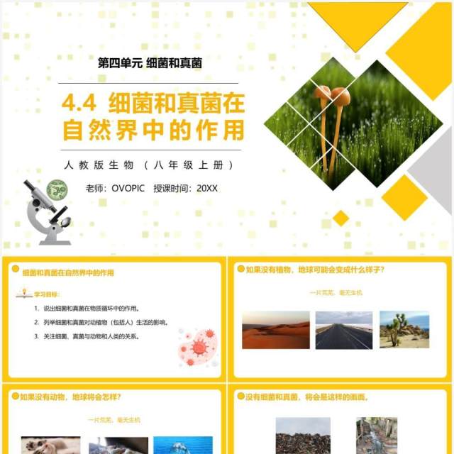 部编版八年级生物上册细菌和真菌在自然界中的作用PPT模板 部编版八年级生物上册细菌和真菌在自然界中的作用PPT模板