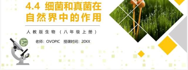 部编版八年级生物上册细菌和真菌在自然界中的作用PPT模板 部编版八年级生物上册细菌和真菌在自然界中的作用PPT模板