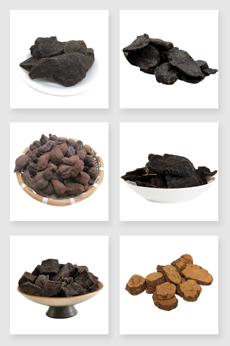 黑色何首乌设计素材