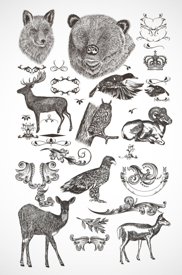 精美手绘动物插画素材 精美手绘动物插画素材