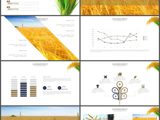 农产品农业发展工作总结PPT模板