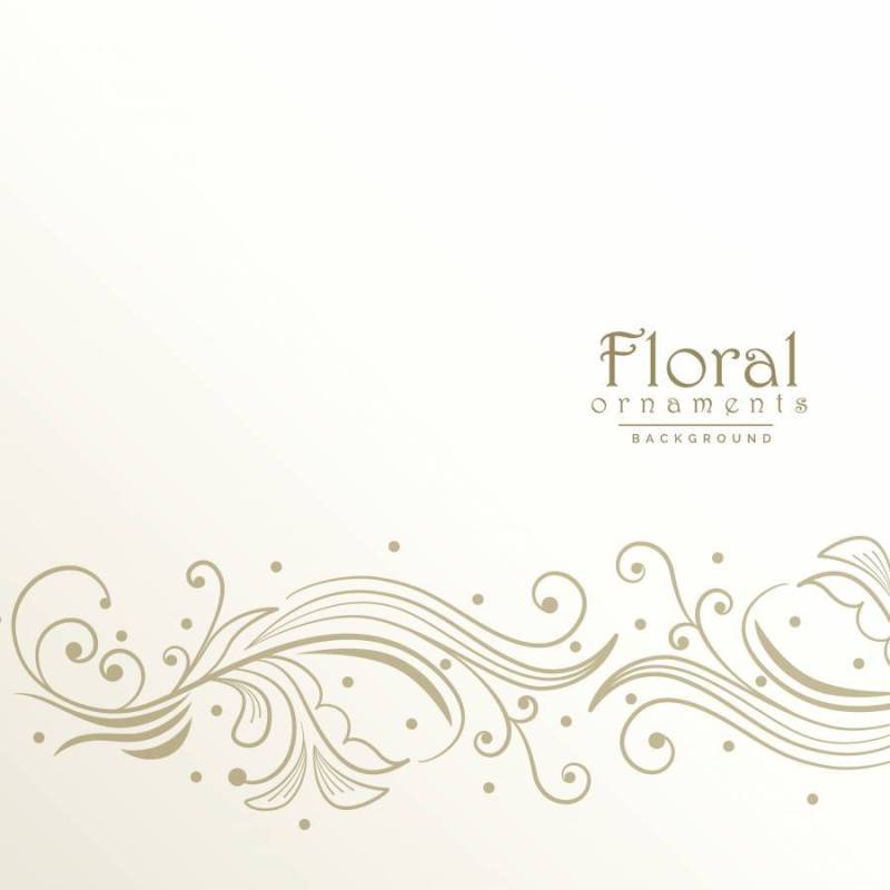 美丽的花卉设计背景