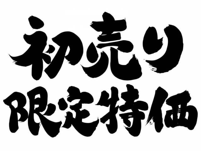 厚实的正宗系统首先销售有限的特殊价格