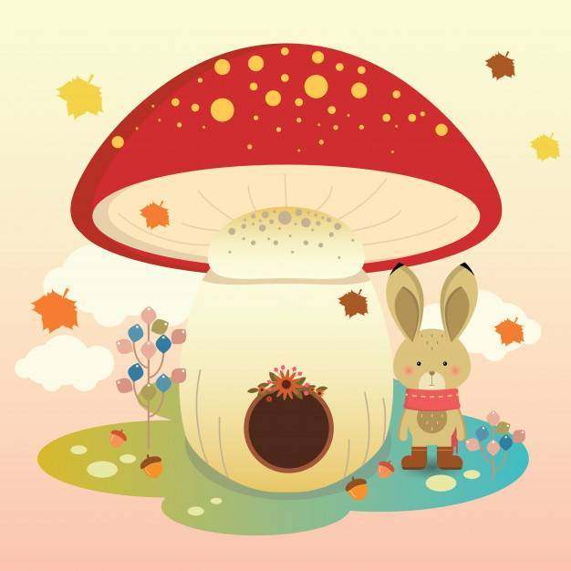 秋天的兔子屋
