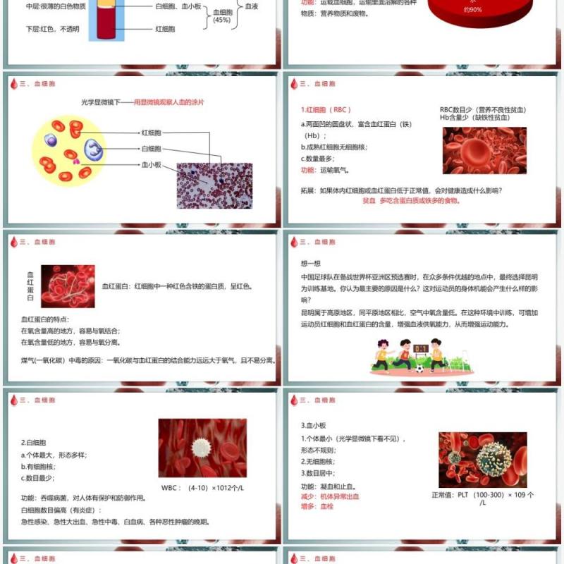 部编版七年级下册生物输血与血型课件PPT模板