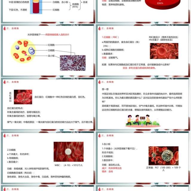 部编版七年级下册生物输血与血型课件PPT模板 部编版七年级下册生物输血与血型课件PPT模板