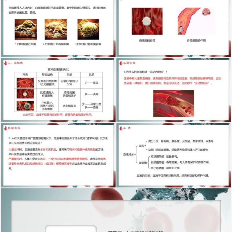 部编版七年级下册生物输血与血型课件PPT模板