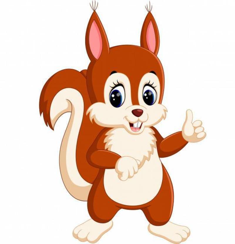 可爱的松鼠卡通