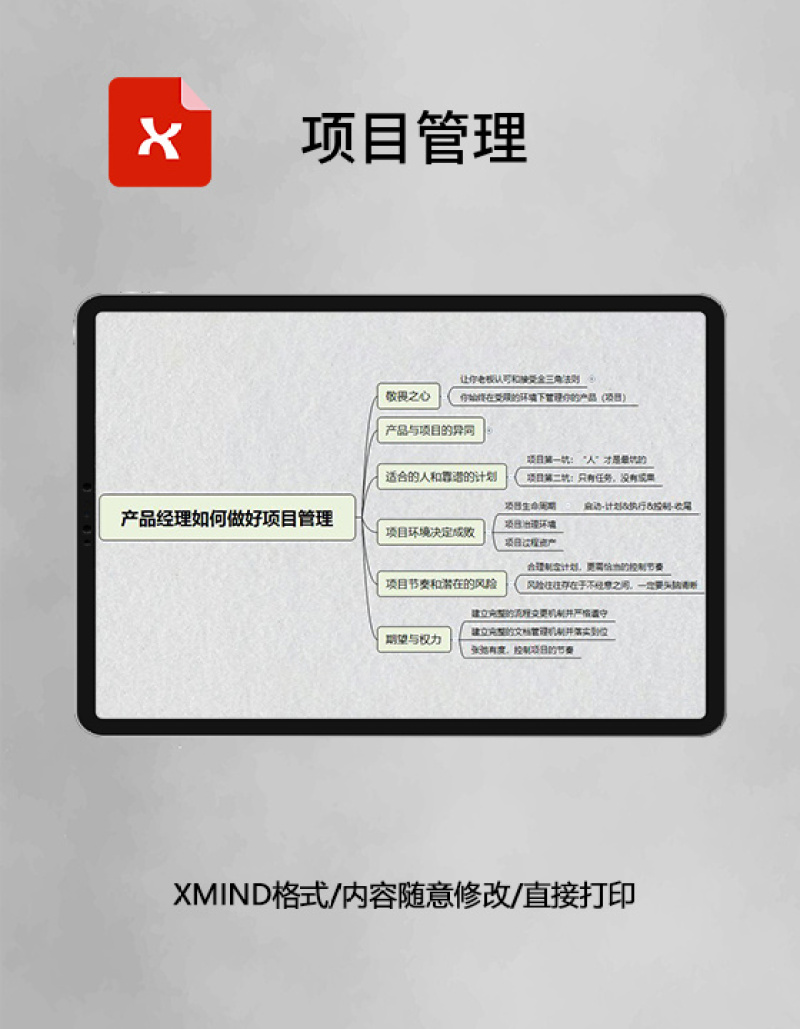 思维导图简洁项目管理XMind模板