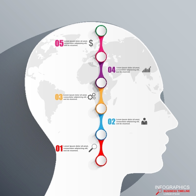 信息图形集合11516