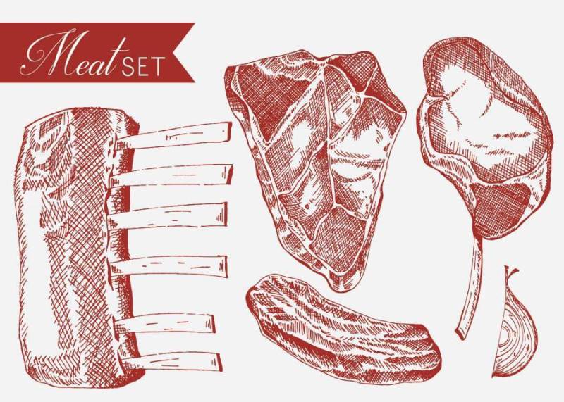 小牛肉集合手拉的传染媒介