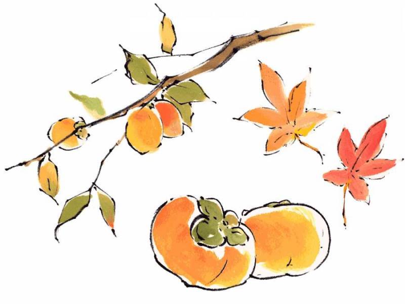 秋天集“手写素材”