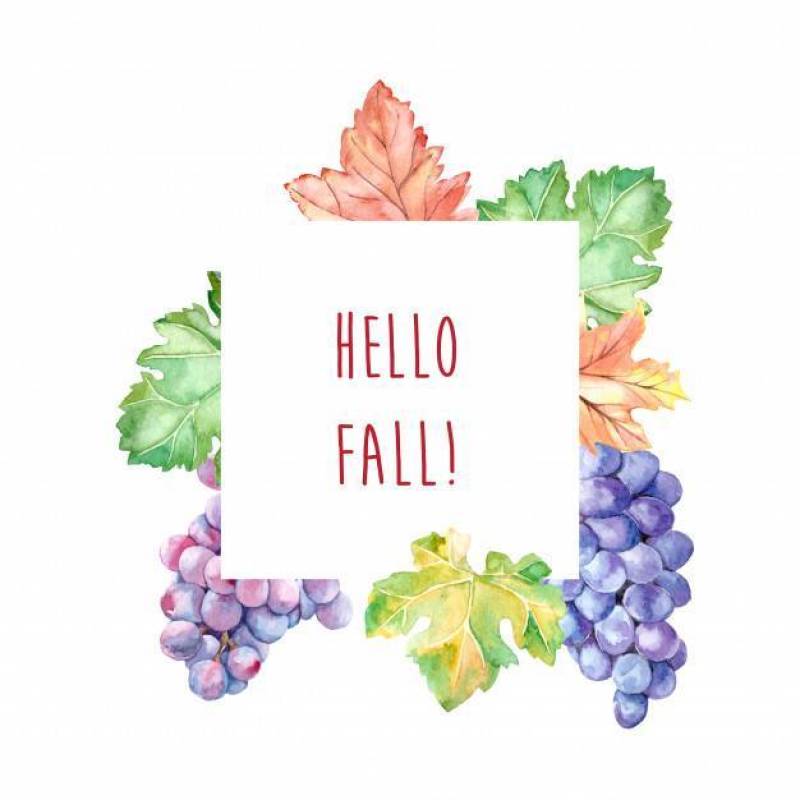 水彩与叶子和葡萄的秋天框架
