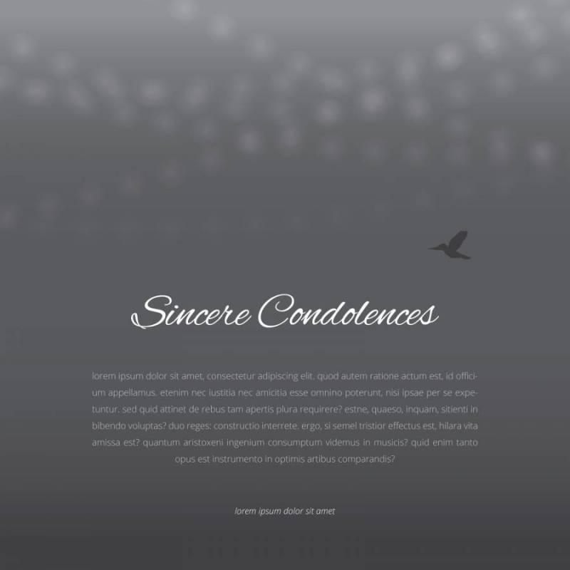优雅的葬礼卡与鸽子图标。
