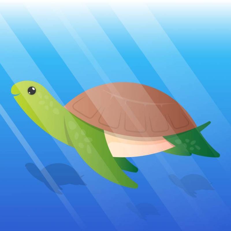 可爱的乌龟卡通水下插图