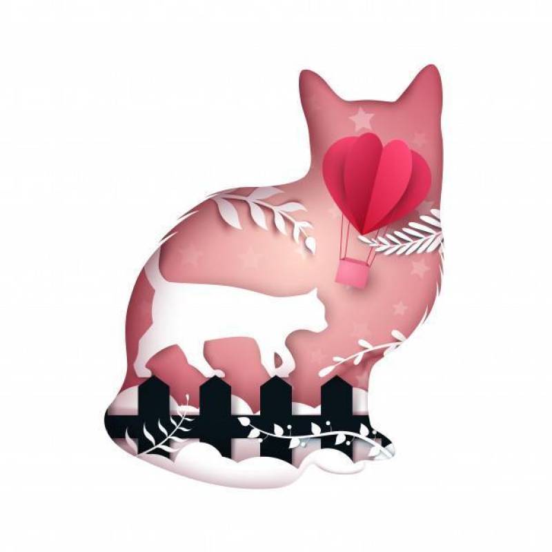 Cat illustration