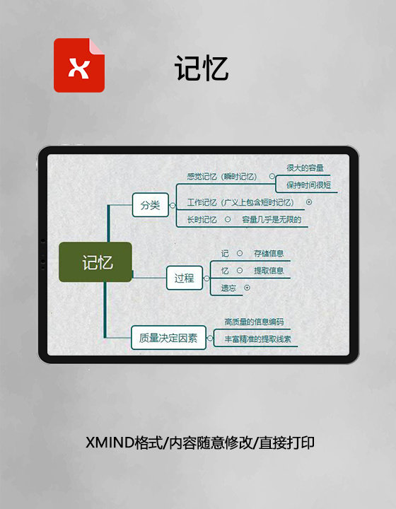 思维导图简洁记忆XMind模板