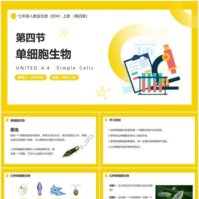 部编版七年级生物上册单细胞生物课件PPT模板 部编版七年级生物上册单细胞生物课件PPT模板