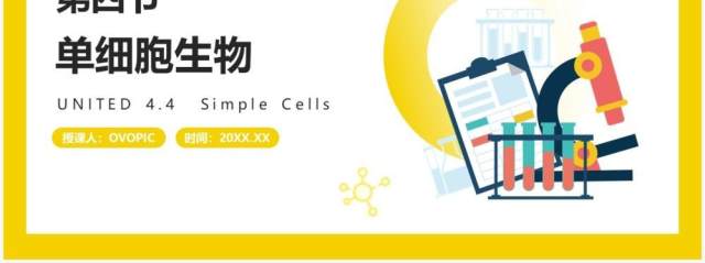 部编版七年级生物上册单细胞生物课件PPT模板 部编版七年级生物上册单细胞生物课件PPT模板