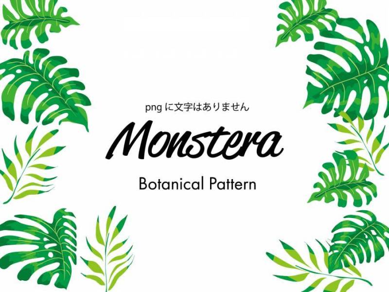 Monstera框架