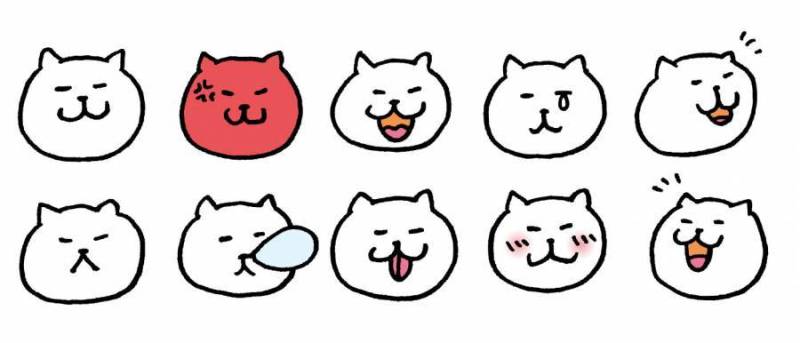 猫脸各种