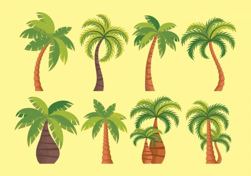 棕榈树矢量图标