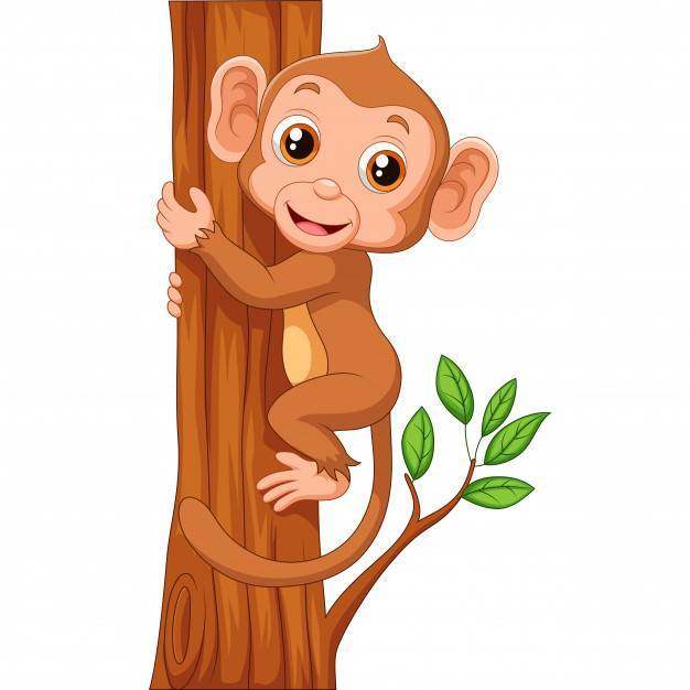 可爱的猴子抱着树