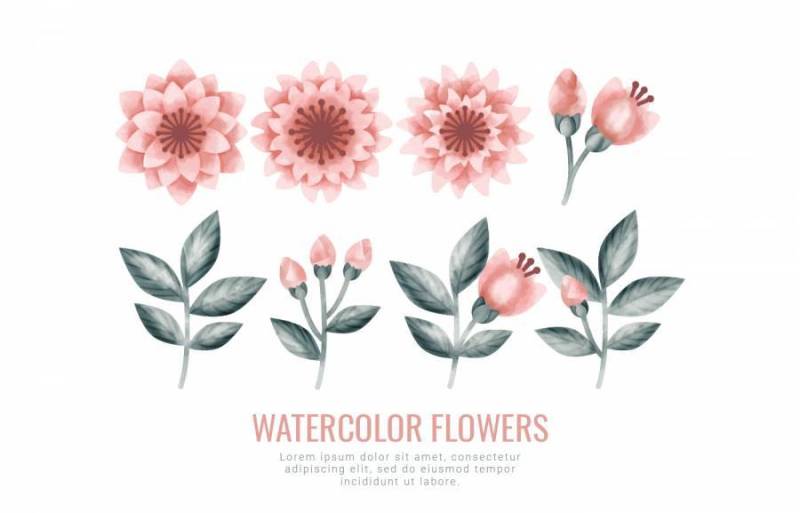 矢量水彩花卉和分支机构