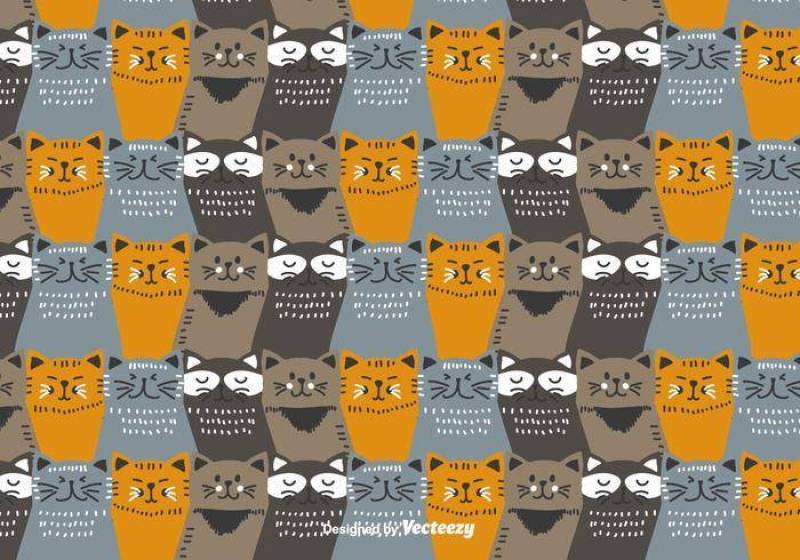 五颜六色的猫模式