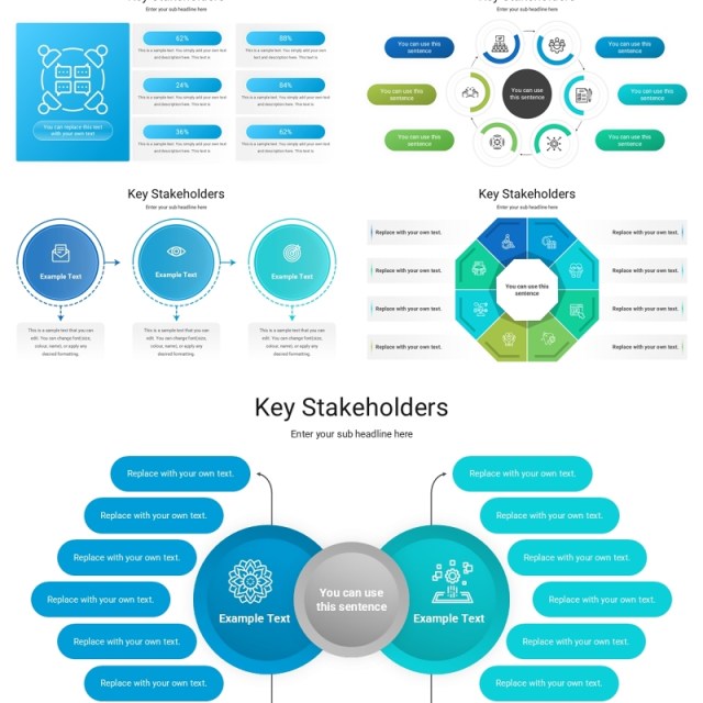 关键利益相关者信息图PPT模板Key Stakeholders