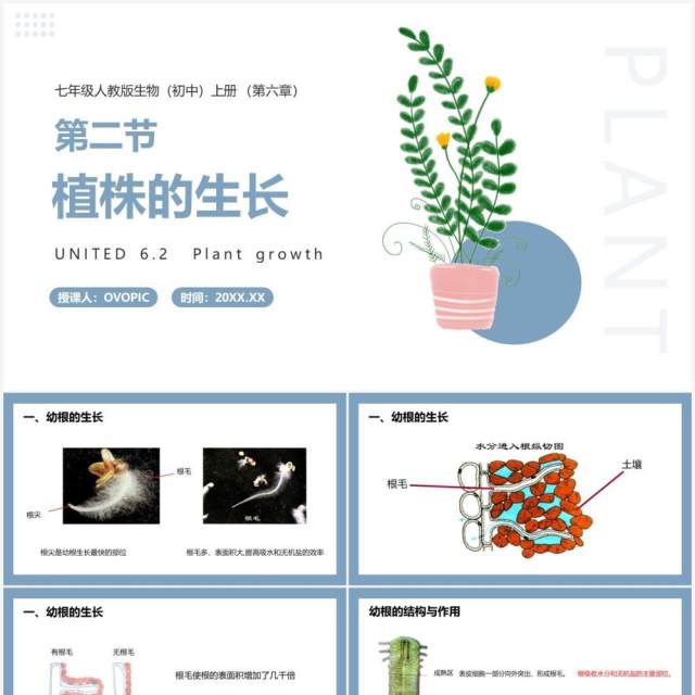 部编版七年级生物上册植株的生长课件PPT模板