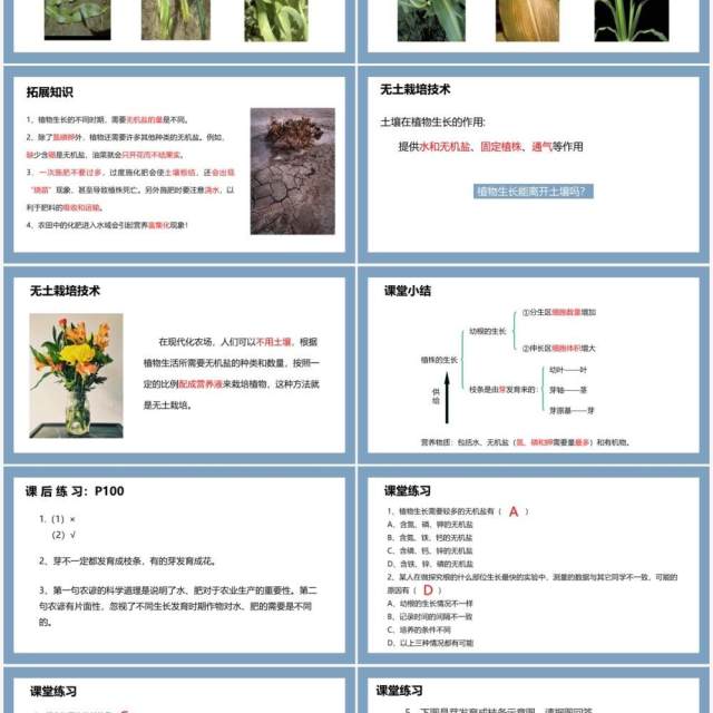 部编版七年级生物上册植株的生长课件PPT模板